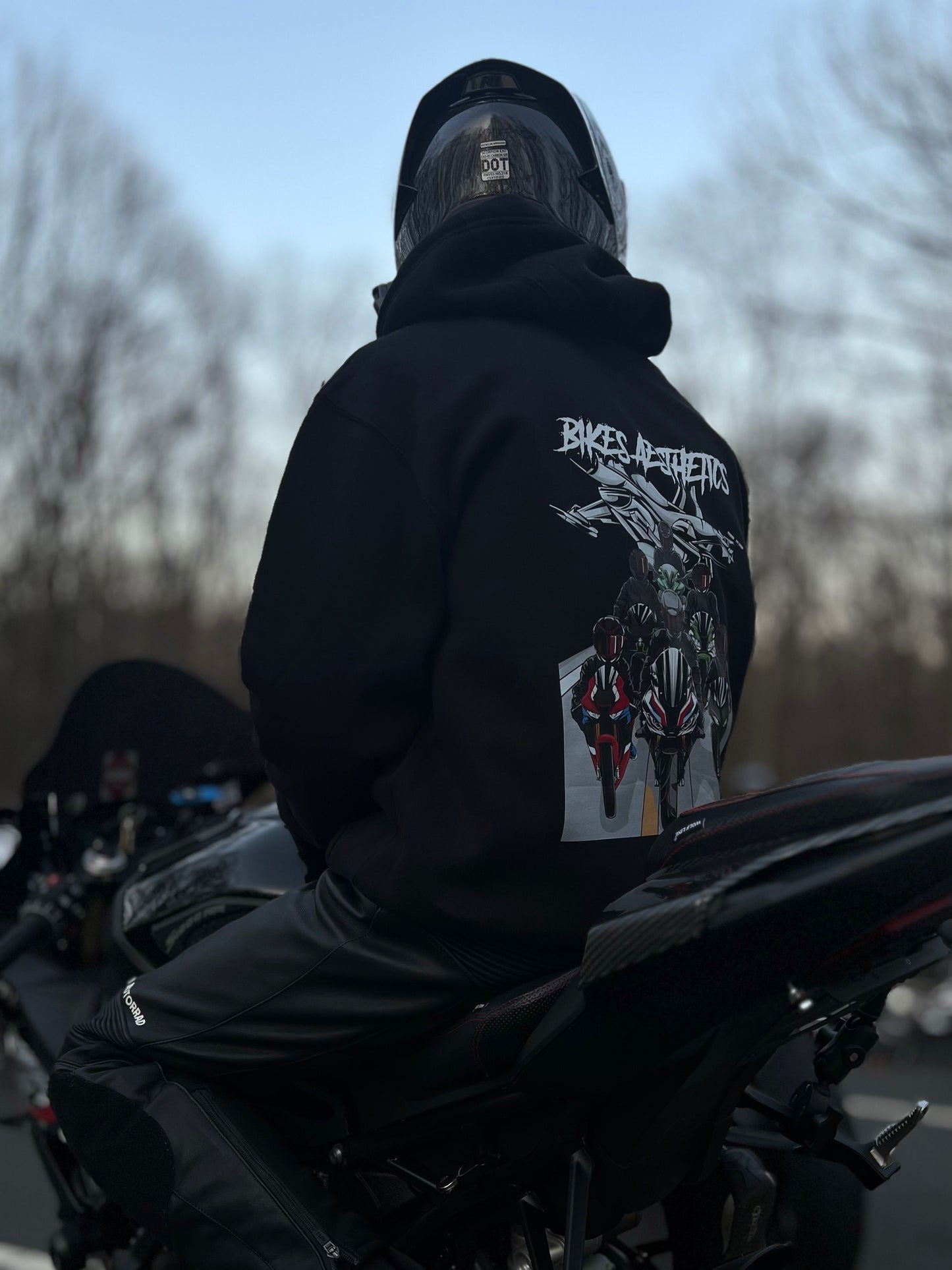 Bikes Aesthetics Hoodie
